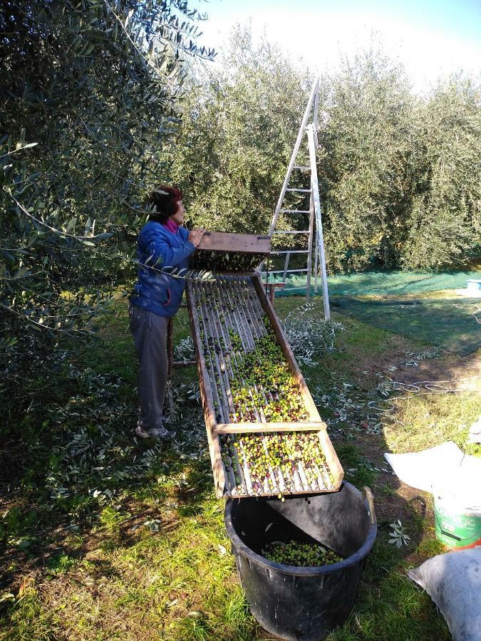 "Country House Il Brolo" Polpenazze del Garda Zewnętrze zdjęcie